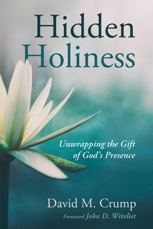 Cover of Hidden Holiness