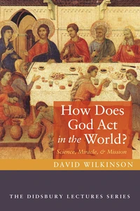 Cover of How Does God Act in the World?