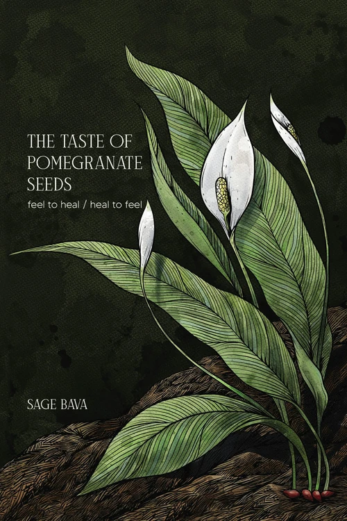 Cover of The Taste of Pomegranate Seeds