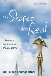 Cover of The Shapes Are Real