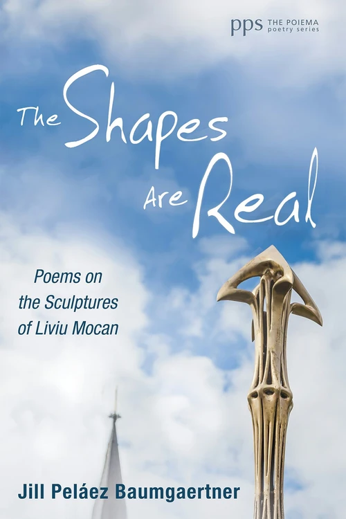 Cover of The Shapes Are Real