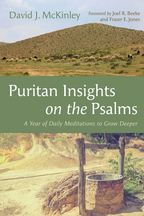 Cover of Puritan Insights on the Psalms
