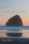Cover of Last November