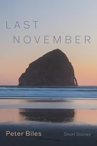 Cover of Last November