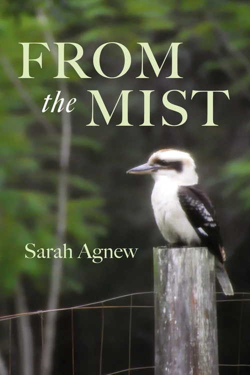 Cover of From the Mist
