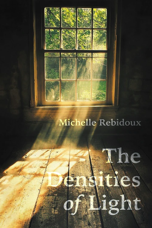 Cover of The Densities of Light