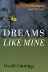 Cover of Dreams Like Mine
