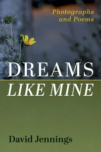 Cover of Dreams Like Mine