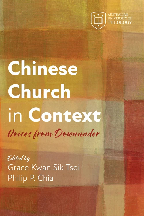 Cover of Chinese Church in Context