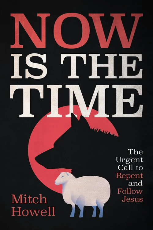Cover of Now Is the Time