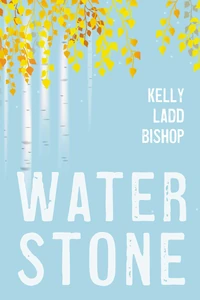 Cover of Water Stone