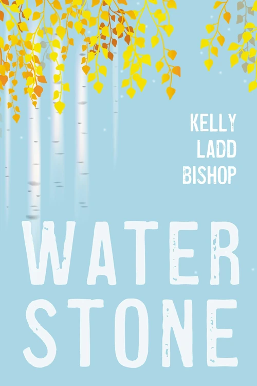 Cover of Water Stone
