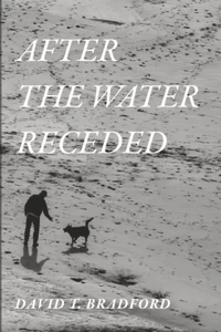 Cover of After the Water Receded