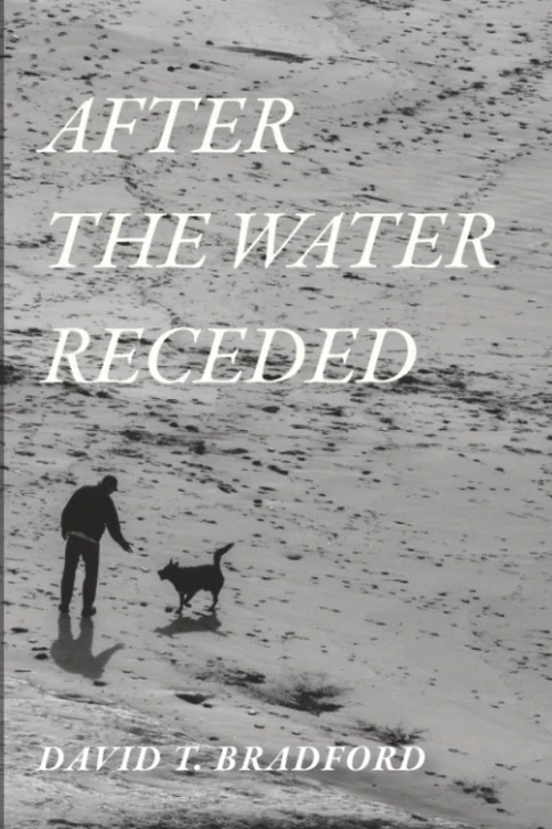 Cover of After the Water Receded