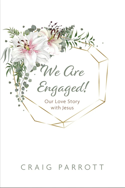 Cover of We Are Engaged!