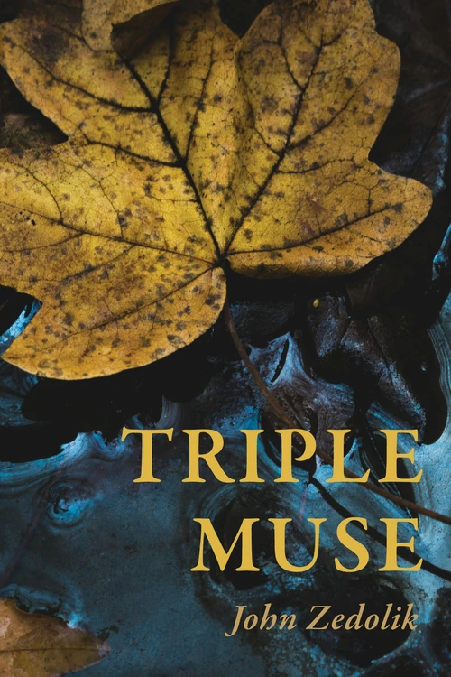 Cover of Triple Muse