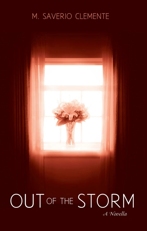 Cover of Out of the Storm