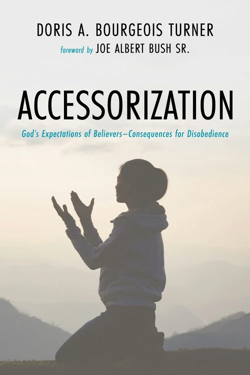 Cover of Accessorization