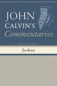 Cover of Commentaries on the Book of Joshua