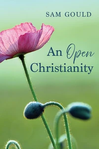 Cover of An Open Christianity