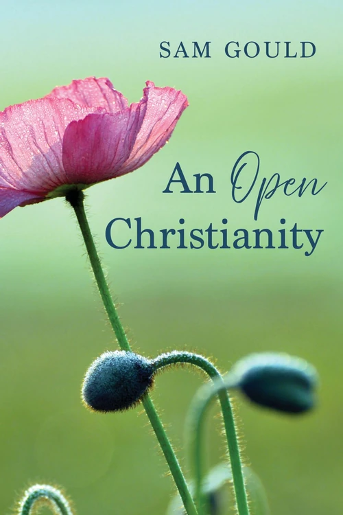 Cover of An Open Christianity