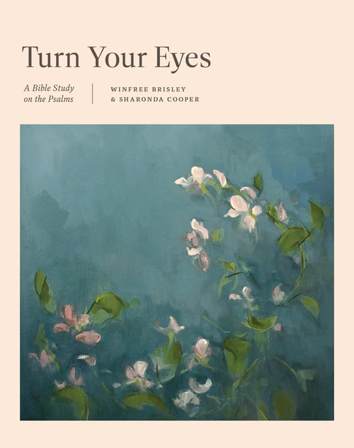 Cover of Turn Your Eyes