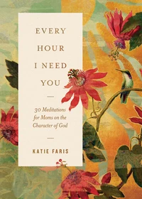 Cover of Every Hour I Need You