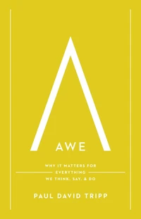 Cover of Awe