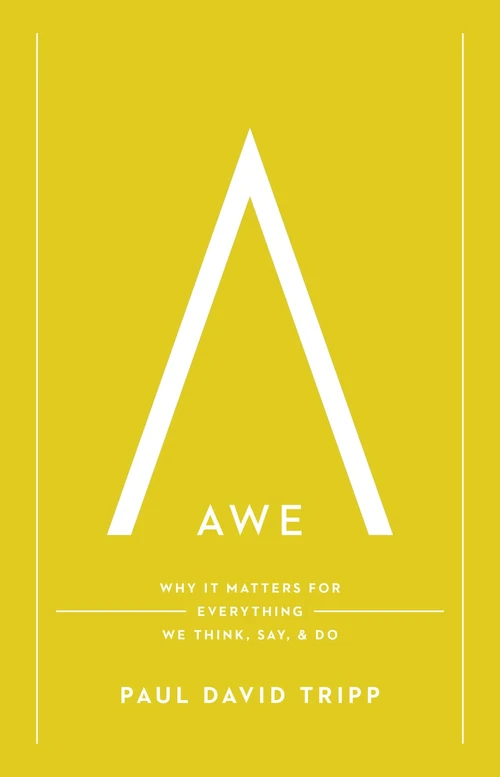Cover of Awe