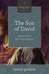 Cover of The Son of David Video Study