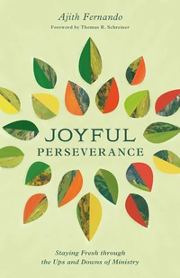 Cover of Joyful Perseverance