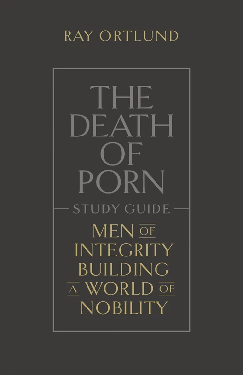 Cover of The Death of Porn Study Guide
