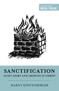 Cover of Sanctification as Set Apart and Growing in Christ