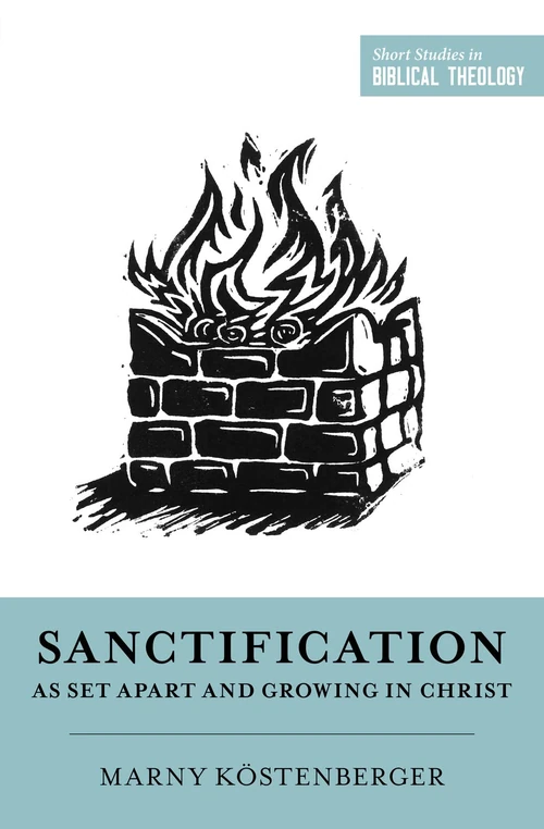 Cover of Sanctification as Set Apart and Growing in Christ