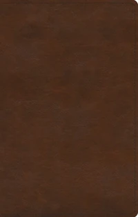 Cover of Gentle and Lowly