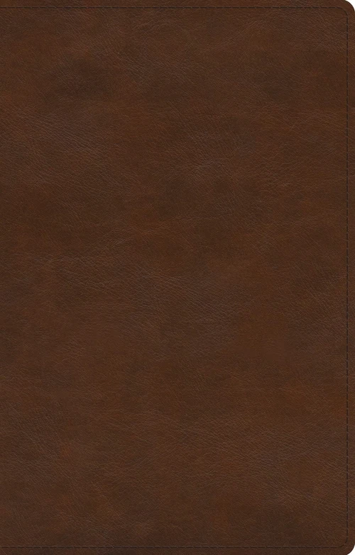 Cover of Gentle and Lowly