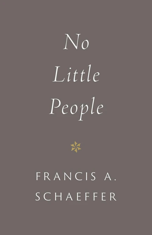 Cover of No Little People