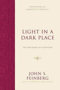 Cover of Light in a Dark Place