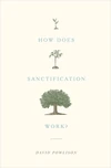 Cover of How Does Sanctification Work?