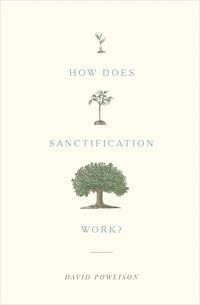 Cover of How Does Sanctification Work?