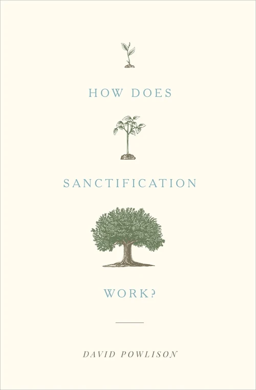 Cover of How Does Sanctification Work?
