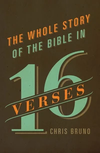 Cover of The Whole Story of the Bible in 16 Verses