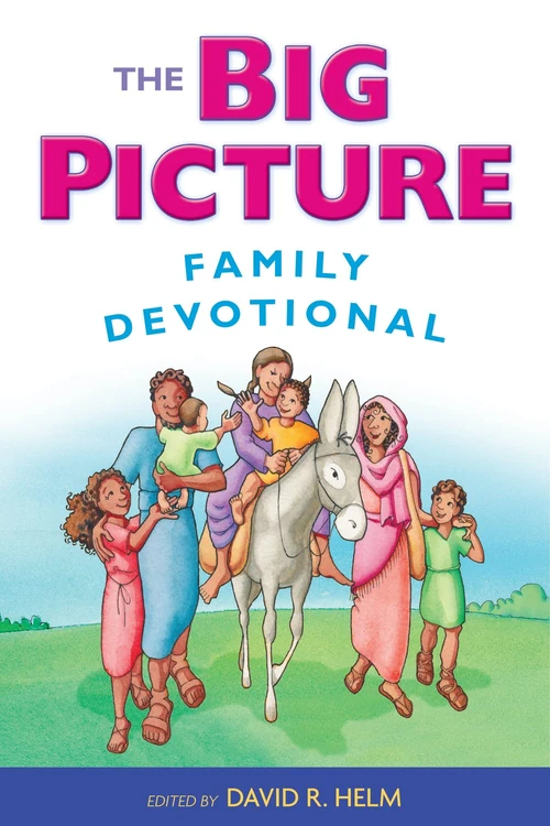 Cover of The Big Picture Family Devotional