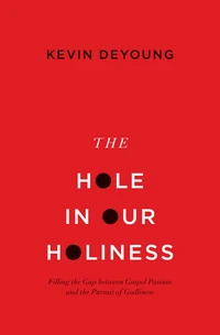 Cover of The Hole in Our Holiness