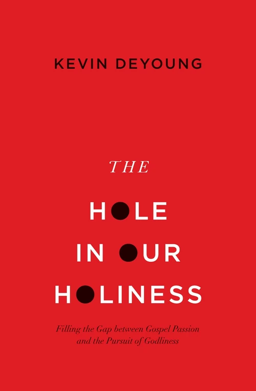 Cover of The Hole in Our Holiness