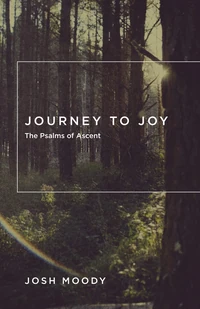 Cover of Journey to Joy