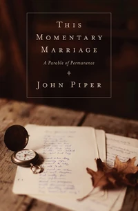 Cover of This Momentary Marriage