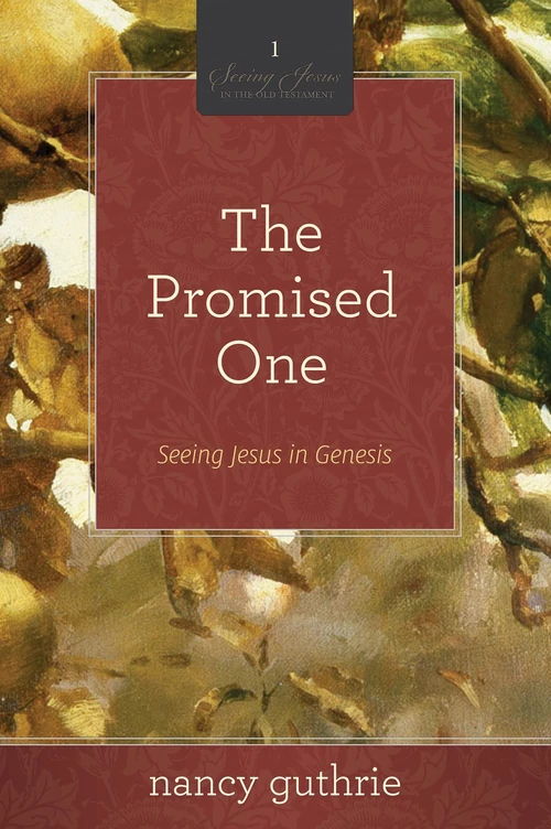 Cover of The Promised One