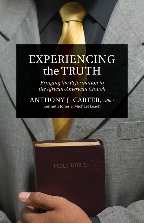 Cover of Experiencing the Truth