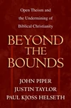 Cover of Beyond the Bounds